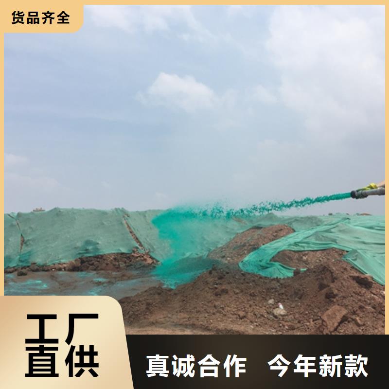 结壳抑尘剂绿色浆今日